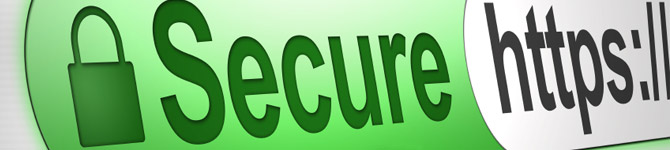 Image of secure web browser